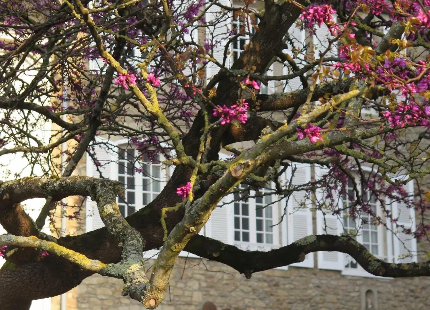 La Villa Garenne Vannes